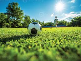 社交分享互动场景